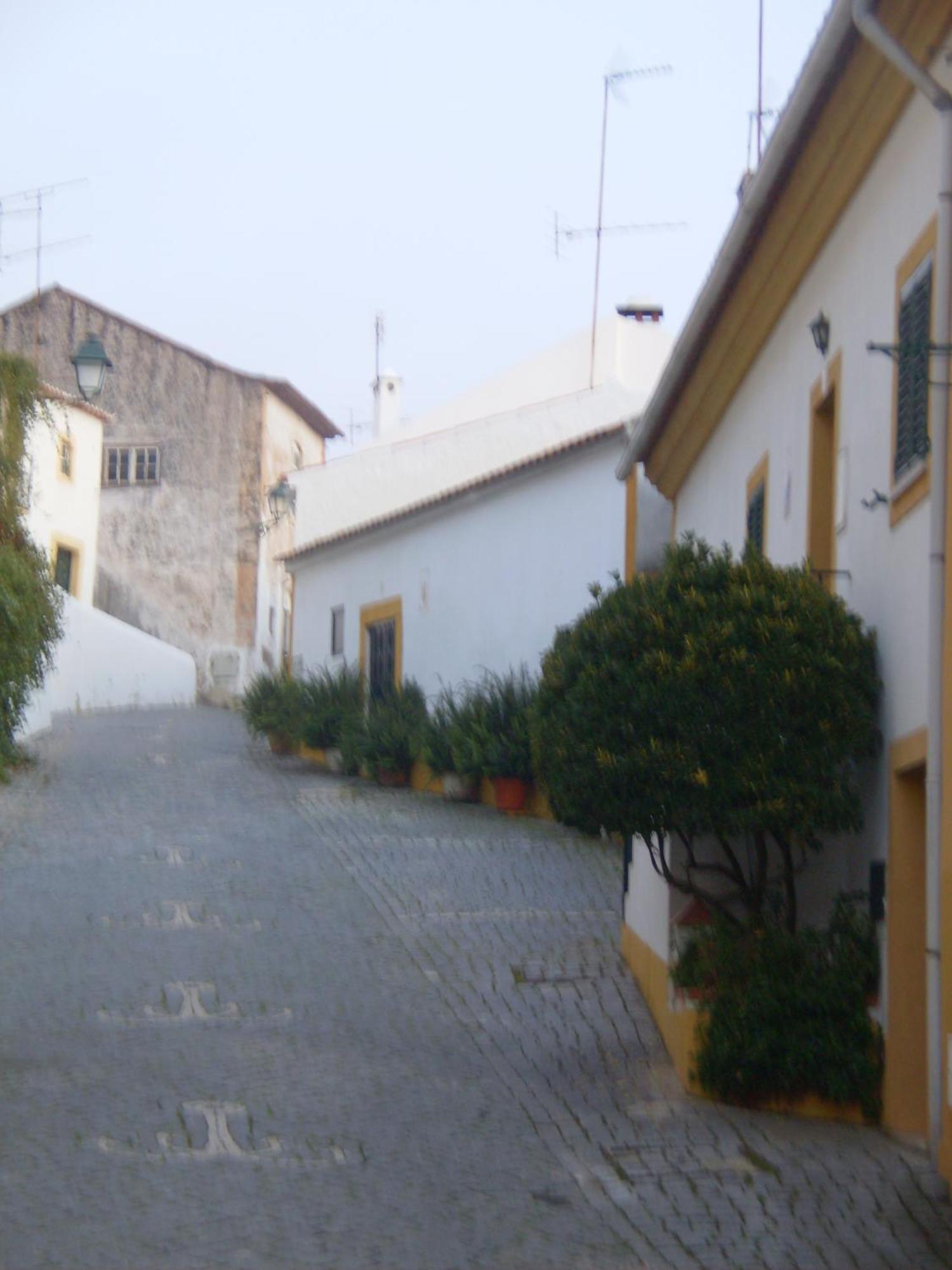 Casa Joao Chagas Guesthouse, Constancia, By Viva A Vida - Alojamentos E Hotels Bagian luar foto